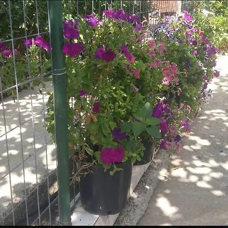 Vila Bamatati - Real Agrotourism *