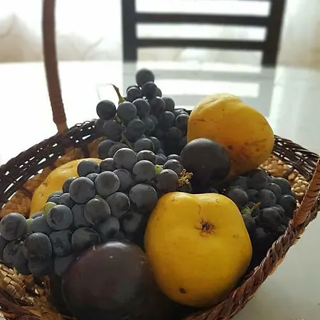Vila Bamatati - Real Agrotourism
