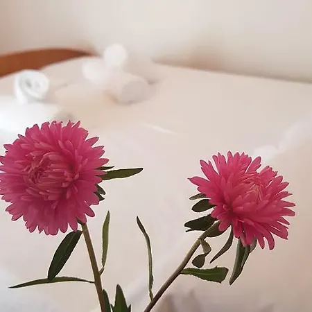 Vila Bamatati - Real Agrotourism * Bajkaj