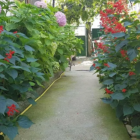 Vila Bamatati - Real Agrotourism *